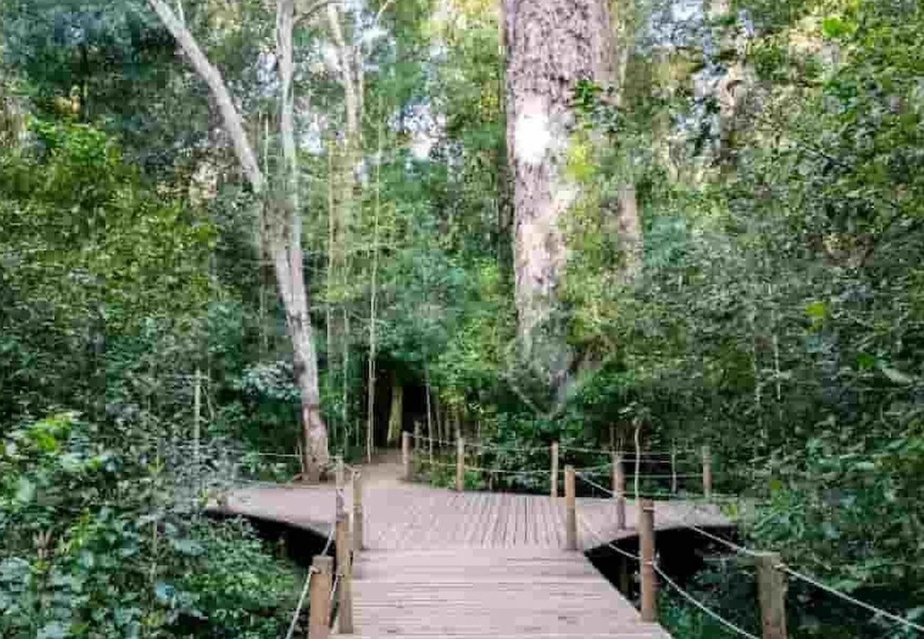 Mount Castleton Apartment Plettenberg Bay Ngoại thất bức ảnh